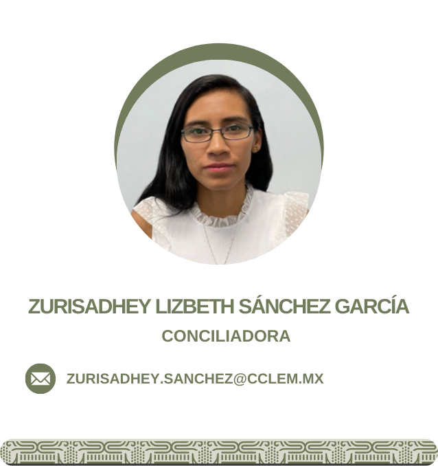 Conciliador 6